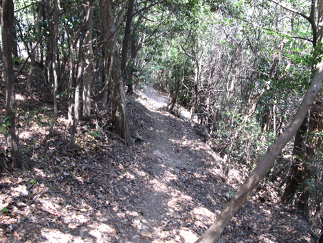 20140426hike (63)